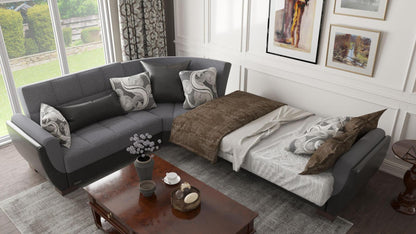Armada Air Sectional