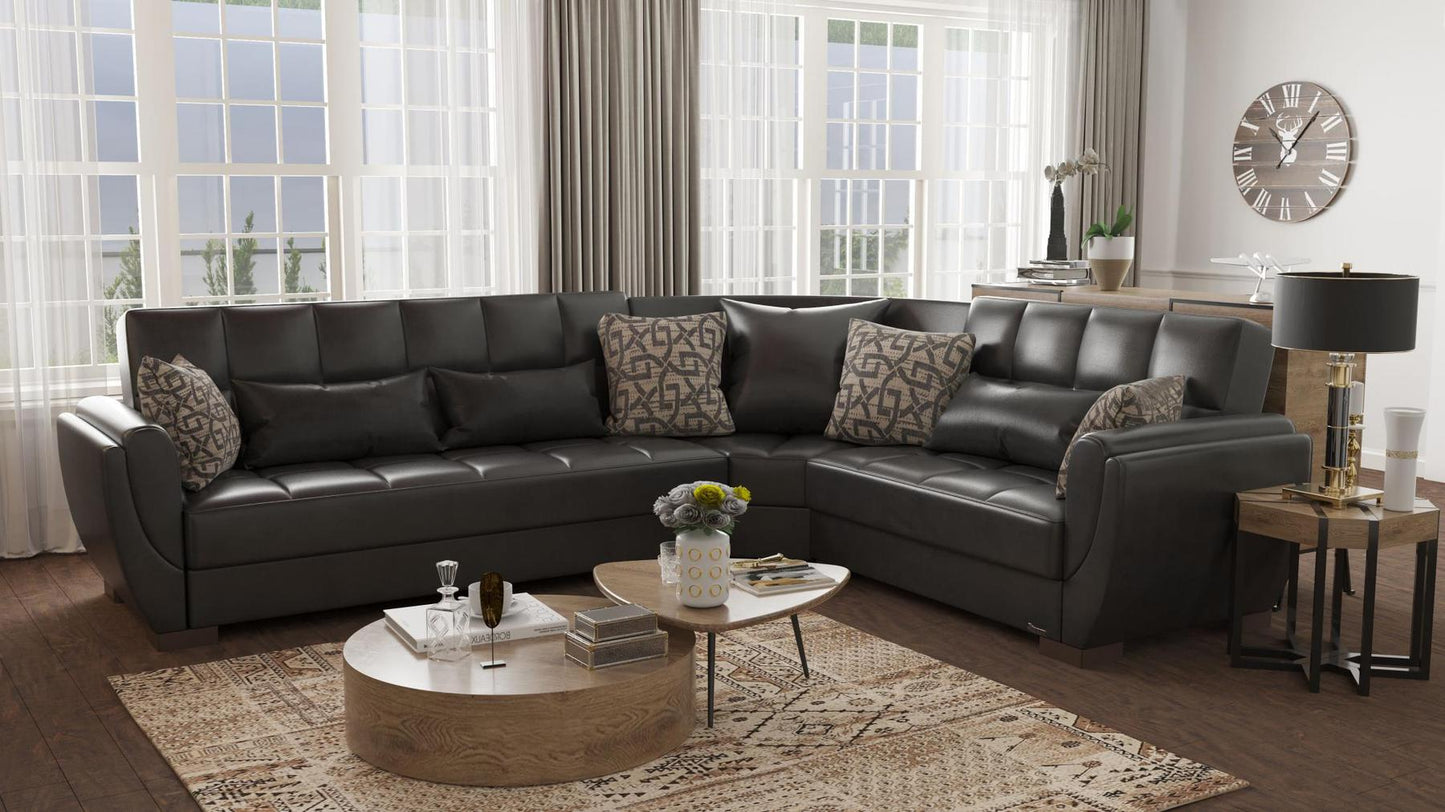 Armada Air Sectional