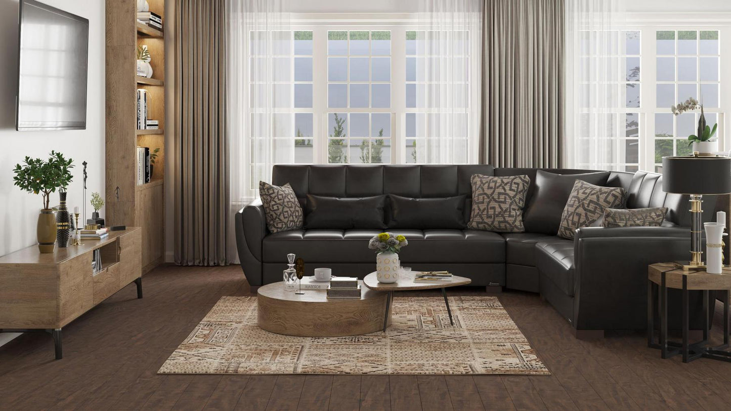Armada Air Sectional